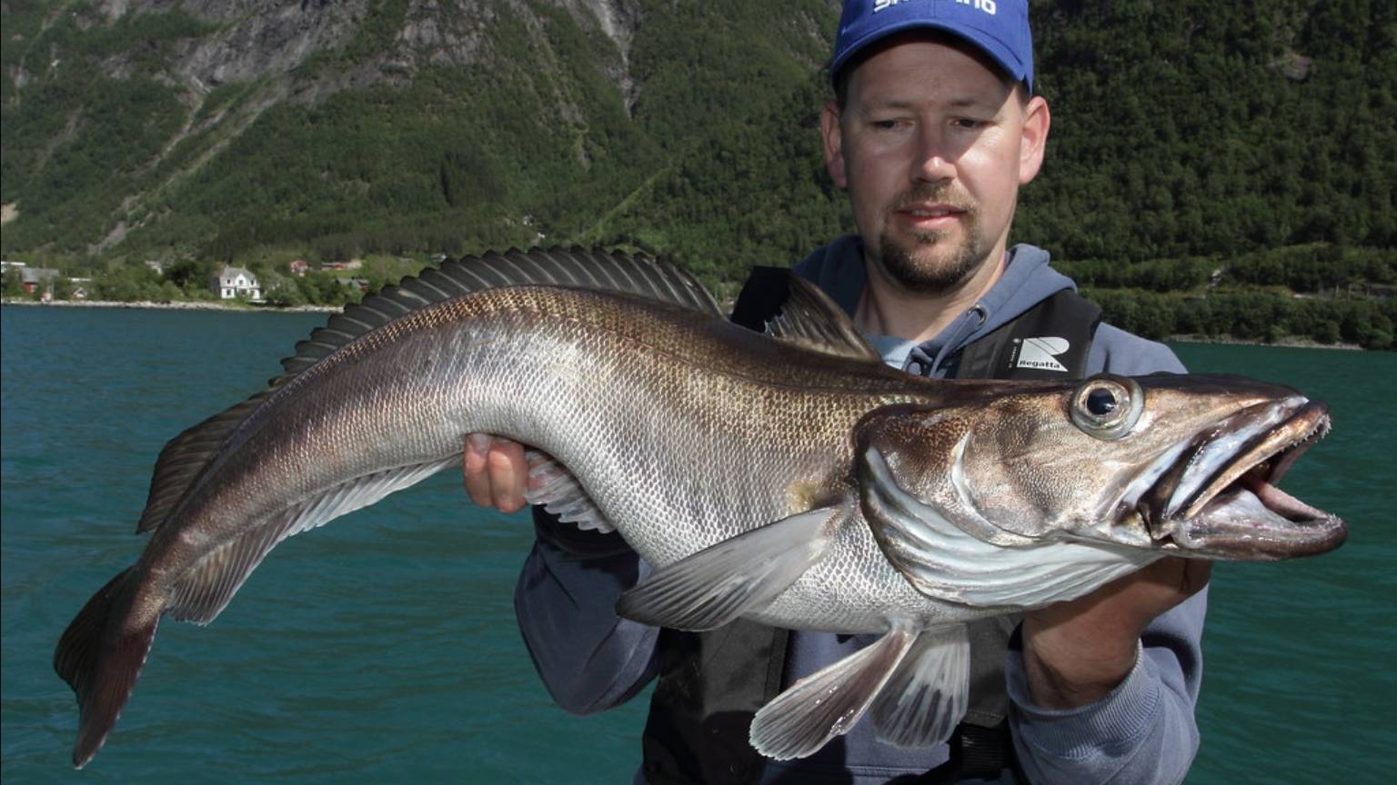 ХЕК ГРИЛЬ смотреть онлайн