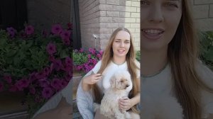 ❗ ТОЙ-ПУДЕЛЬ ОБЗОР ПОРОДЫ ❗ / плюсы и минусы той-пуделя / ✅ПОДРОБНЫЙ ОБЗОР ✅ #пудель #той-пудель