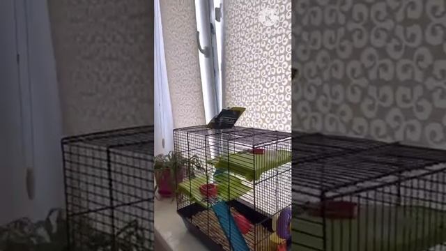 квартира Абдулманапова 6 Б. Каспийск. смотреть онлайн