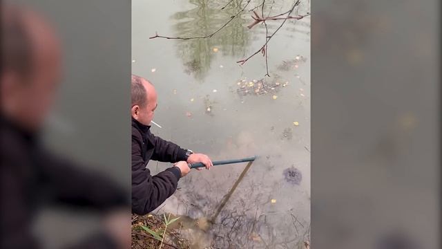 СОВРЕМЕННЫЙ БАРНХАУС ДЛЯ МОЛОДОЙ СЕМЬИ. КАК ЗАЛИТЬ БЕТОН В МОРОЗ, ЭКОНОМНАЯ СТРОЙКА СВОИМИ РУКАМИ.#5 смотреть онлайн