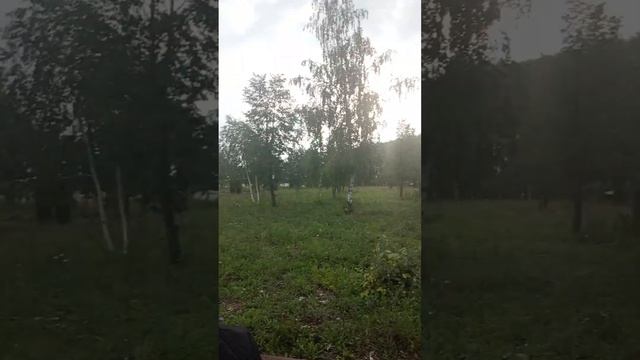 8 Парк Славы обновили и облагородили, Приютово. 18 августа 2024 год смотреть онлайн