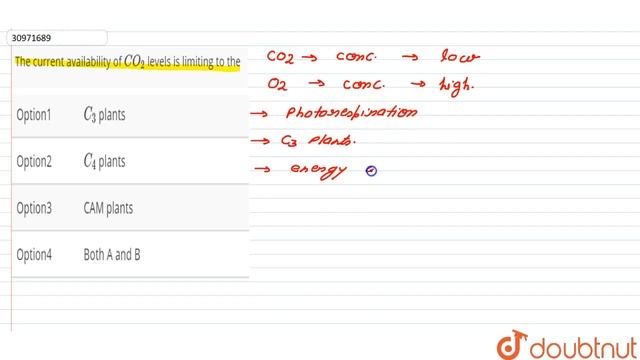 The current availability of CO_(2) levels is limiting to the | 11 | PHOTOSYNTHESIS IN HIGHER PL... смотреть онлайн