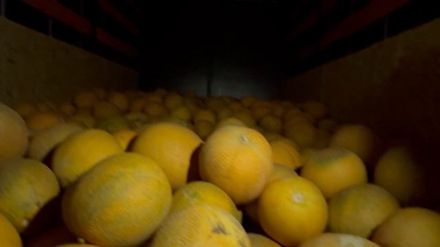 Gazelle Next Cummins 2.8 чулок bye bye bye смотреть онлайн