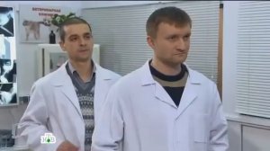 Возвращение Мухтара 2. На грани безумия