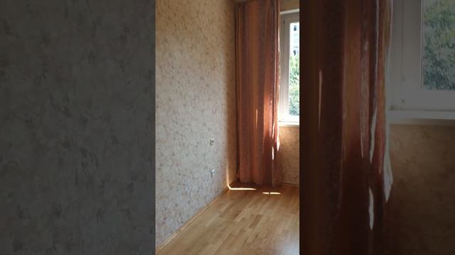 Шокальского_49_2 смотреть онлайн