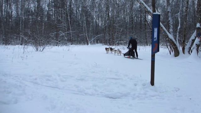 Кого только не встретишь в Ромашково смотреть онлайн