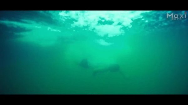 [Full Movie] 深海X异种2 The Mutant Python 深海巨蟒 | 探险电影 Giant Snake Adventure film HD