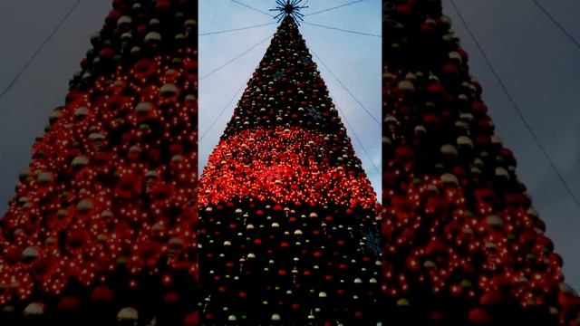 Giant musical Christmas Tree at Longleat Safari Park - Lumia 920 video test смотреть онлайн