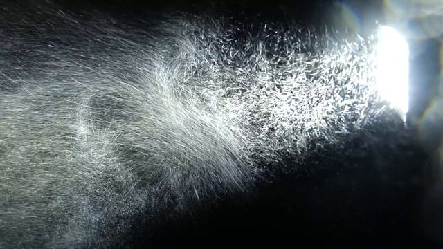 КАК ЖИВУТ ПОЛЯРНИКИ В АРКТИКЕ. ЯКУТИЯ. ОДНИ НА СЕВЕРЕ. ЛЕДОВИТЫЙ ОКЕАН И ВЕЧНАЯ МЕРЗЛОТА. Часть #14 смотреть онлайн