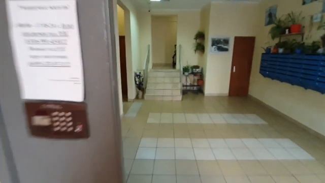 Синявинская 11 к4, студия 28 м2 смотреть онлайн