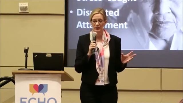 Echo Childhood Trauma Overview