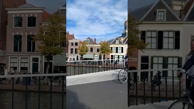Leiden смотреть онлайн