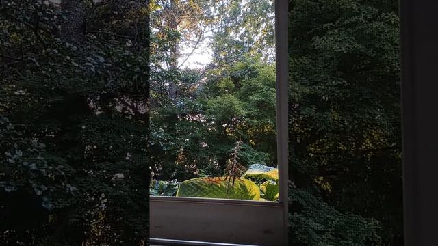 Америка в письмах is live! смотреть онлайн