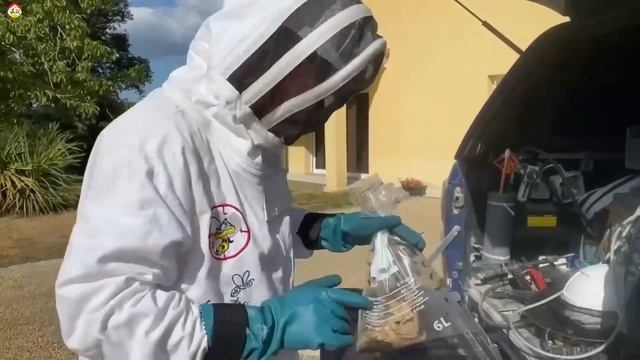 Заморозка азиатского шершня Охотник на шершня сезон 2022 смотреть онлайн