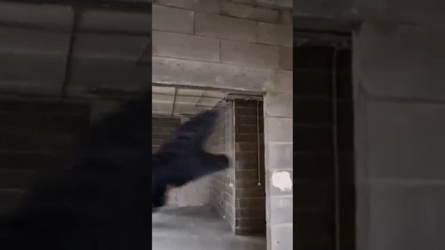 Бизнес класс по русски или как сдать недостроенный дом смотрите на канале смотреть онлайн