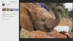 Реклама Windows 8.1