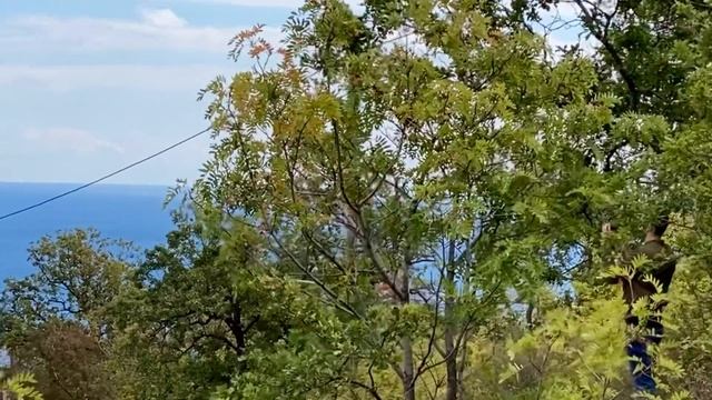 Участок на Чайке смотреть онлайн