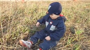 Аутизм, 2 года, ушел в себя, часто так сидел, пропал взгляд, понимание речи...