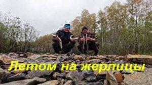 Оставили летние жерлицы на ночь. Рыбалка на жерлицы на открытой воде. Щука хватает живца на глазах.