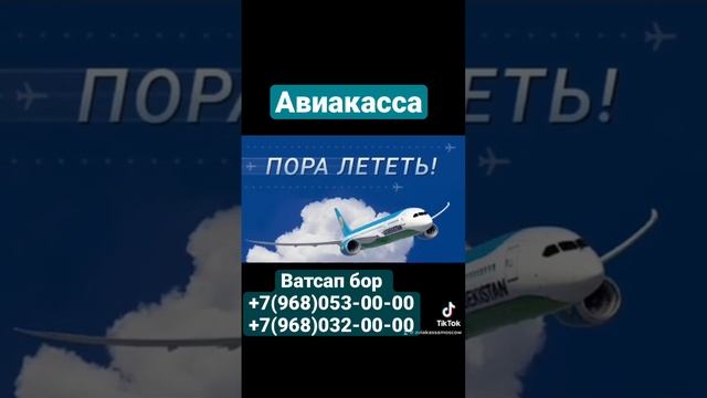 #новосибирск #авиакасса #арзон #авиабилетлвр смотреть онлайн