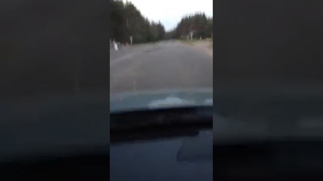 Егорьевское ш 200 км от Москвы смотреть онлайн