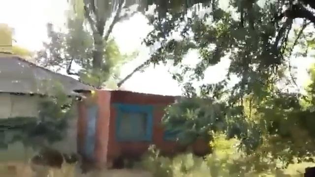 Торги по банкротству. Павловы и партнеры отзывы. Эльнара Короткова: купила дом за 8 тыс. руб. смотреть онлайн