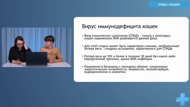 СПИД у кошки смотреть онлайн