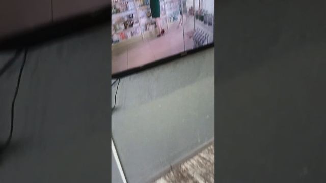 Сдача квартиры посуточно смотреть онлайн