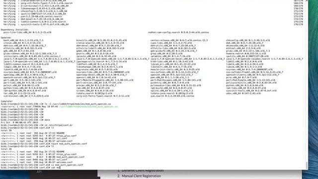 Install Gluu Client 1 смотреть онлайн