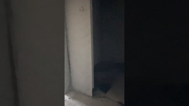 ЖК Гагаринский смотреть онлайн