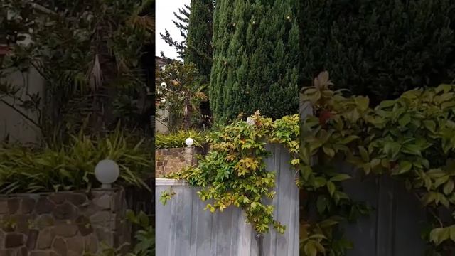 Скоро! Дом у моря в Сочи! #relax #sochibeach смотреть онлайн