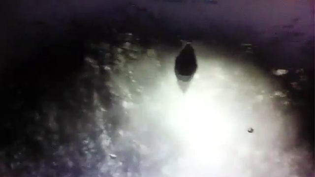 Арк сурвайвал эволв начало игры смотреть онлайн