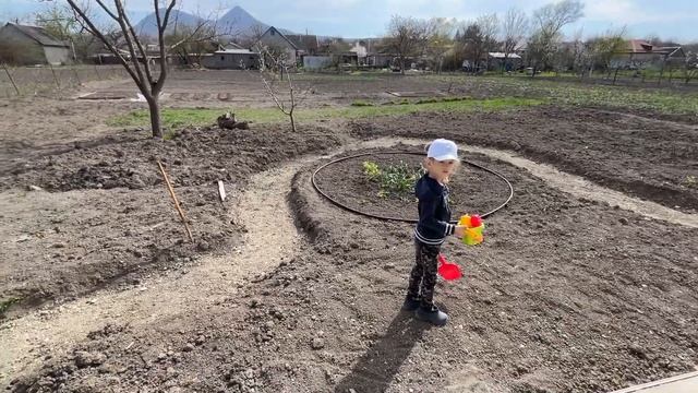 САЖАЕМ КЛУБНИКУ / АТАКОВАЛИ МУРАВЬИ! / КУПИЛИ МНОГО САЖЕНЦЕВ #дача #домвдеревне #вдеревне #надаче