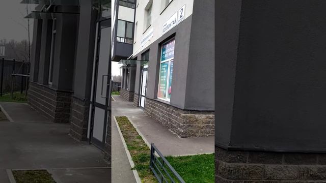 Лягушка СПб Коллонтай 2 смотреть онлайн