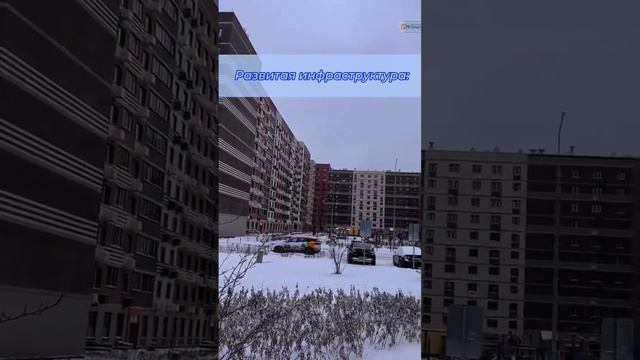 Новое Пушкино смотреть онлайн