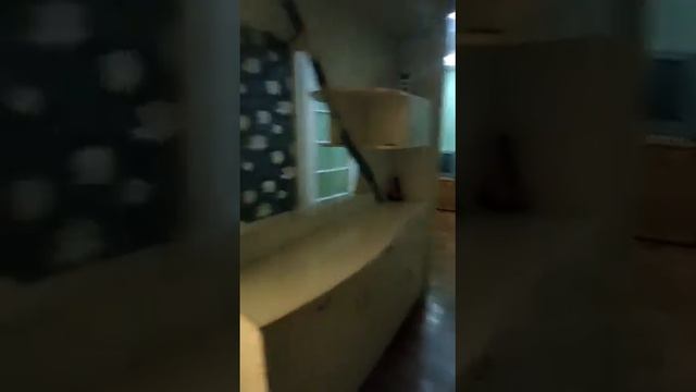 Объект № 121255 Сдам 1 комн. квартиру ул. Проспект Октября 111/3 Звоните, пишите 89656666444 Сергей смотреть онлайн