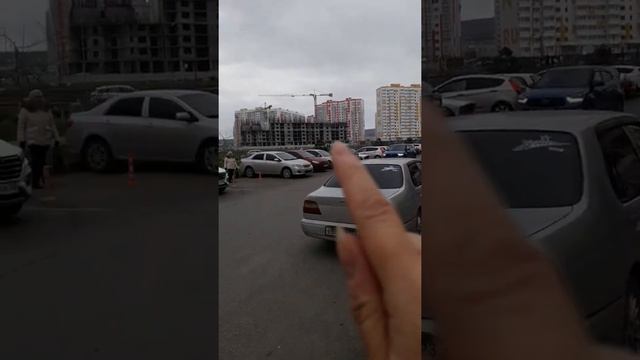 Горгиппия(1)