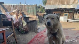 Пгт Кокуй.Забайкальский край .