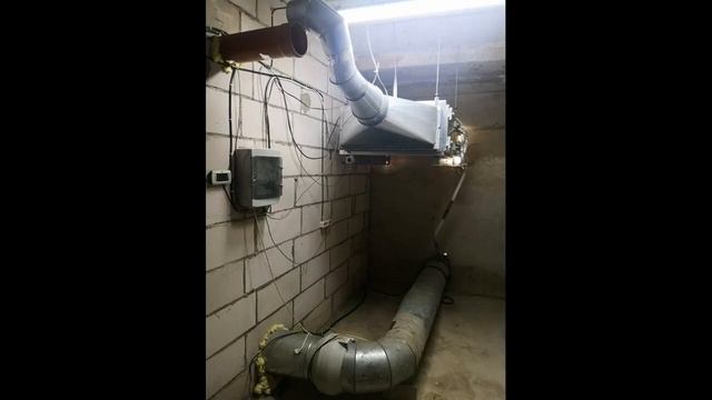 Грибной бизнес выгодно или нет. Стоит ли покупать оборудованное помещение. смотреть онлайн