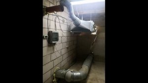 Грибной бизнес выгодно или нет. Стоит ли покупать оборудованное помещение.