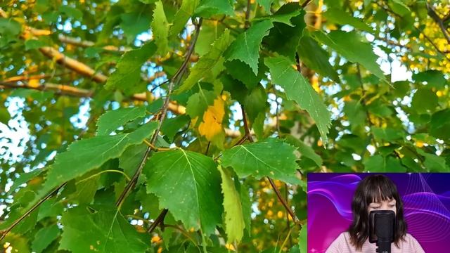 Выбирая в свадебном салоне платье для сестры Наталья замерла увидев мужа с любовницей...
