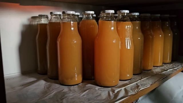 Voćari oprez!!! Zašto opadaju jabuke i kako ih iskoristiti? смотреть онлайн