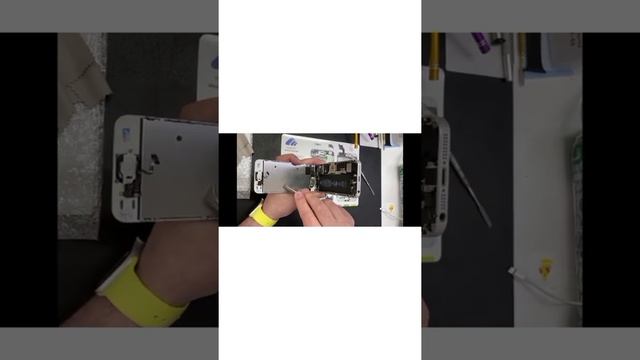 iPhone 7 и iPhone 5s смотреть онлайн