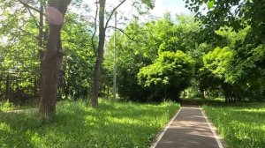 Разорившаяся бизнесменша, возвращаясь по УДО, оплатила билет цыганке... А когда гадалка коснулась е