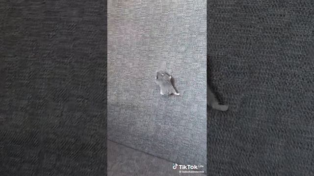 1000056443.mp4 смотреть онлайн