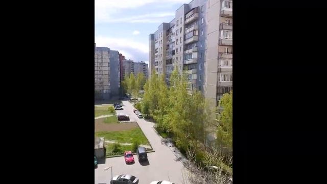 Савушкина, 118 смотреть онлайн