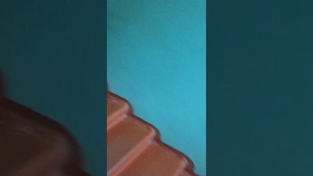 11 августа 2016 г. смотреть онлайн