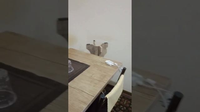 27мкр 19дом 23кв сатылады.1ком.170мил хамме заты мн таслап кетеди.913005410 смотреть онлайн