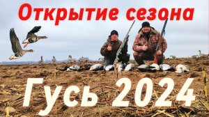 Открытие охоты на гуся 2024. Охота на гуся в Беларуси. 16/18.03.2024 Goose hunting