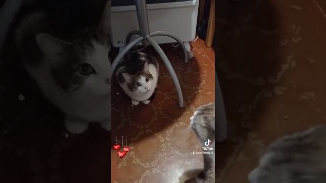 МАМА ,А МЫ ТЕБЯ ТАК ЖДАЛИ ! смотреть онлайн